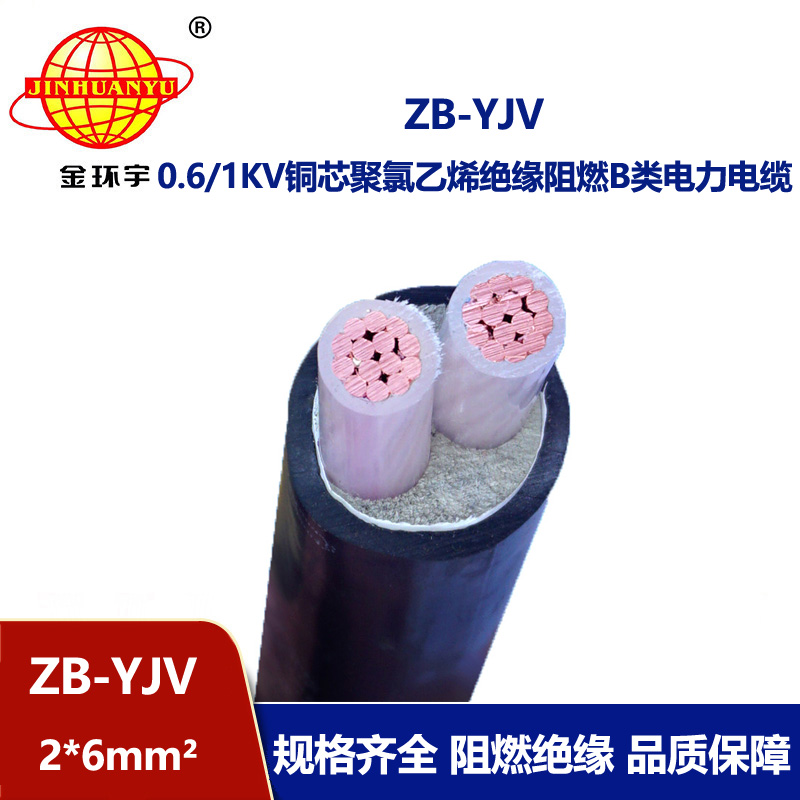 金環(huán)宇電纜 ZB-YJV 2X6平方 阻燃電纜yjv 深圳電力電纜廠