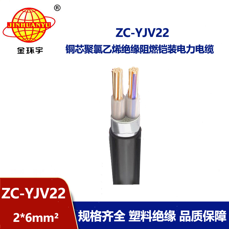 金環(huán)宇電纜 yjv22鎧裝電力電纜ZC-YJV22 2X6平方 yjv22電纜