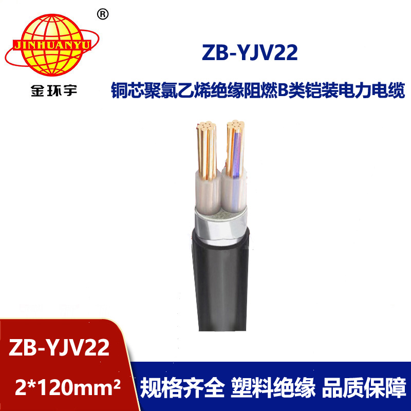 金環(huán)宇電纜 2芯鎧裝電纜 深圳阻燃鎧裝電纜ZB-YJV22-2X120平方